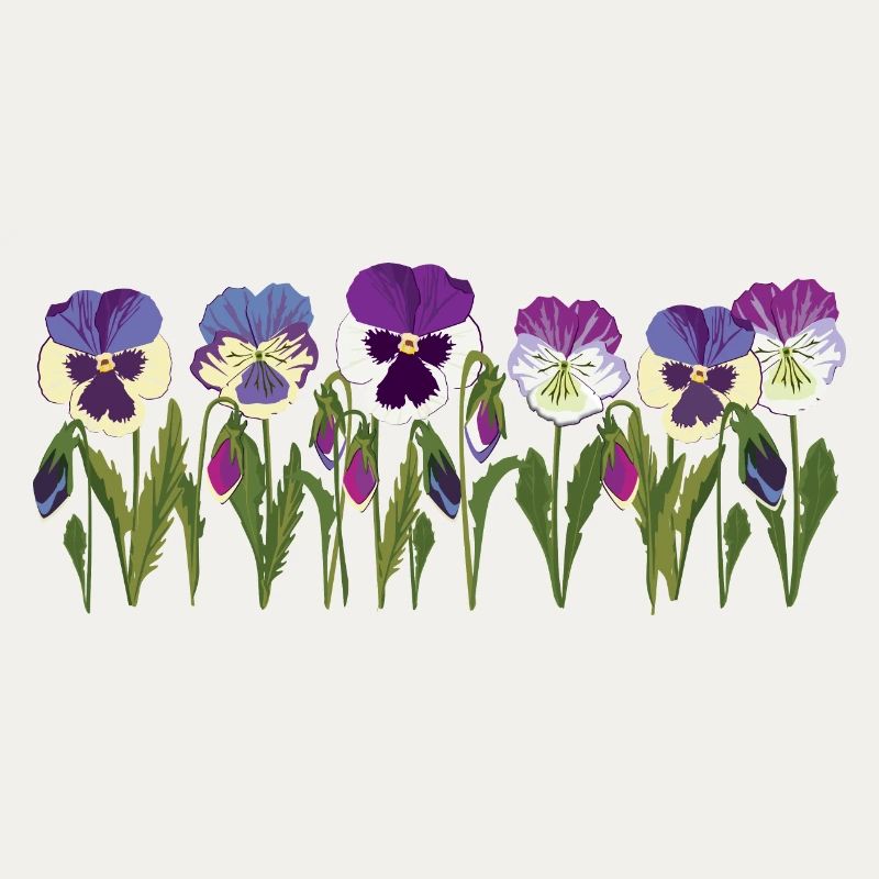 Rangée de fleurs de pensée en violet