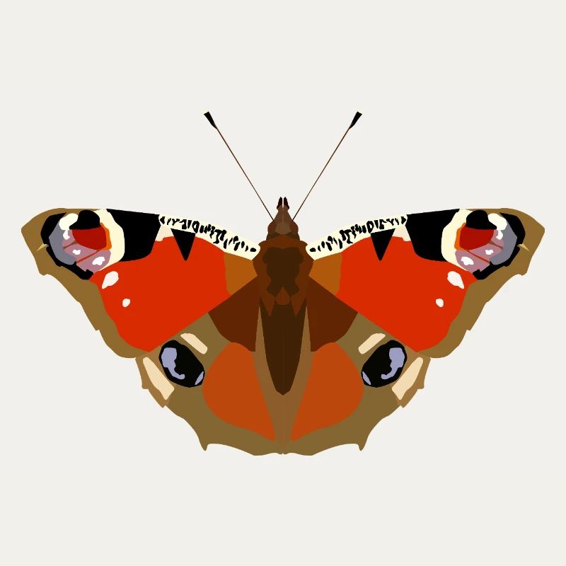 Papillons : Le papillon paon