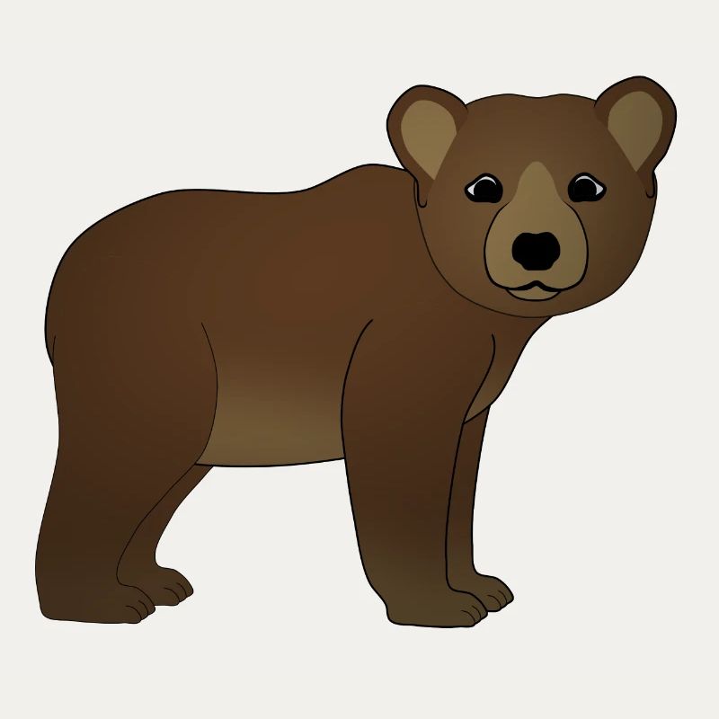 Peuplements de bébé ours brun