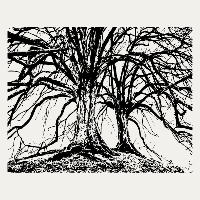 Trees