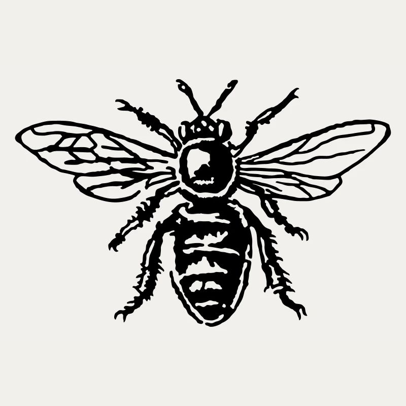 Abeille