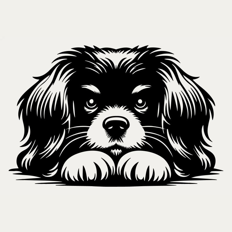 Tibetan Spaniel Head with Paws