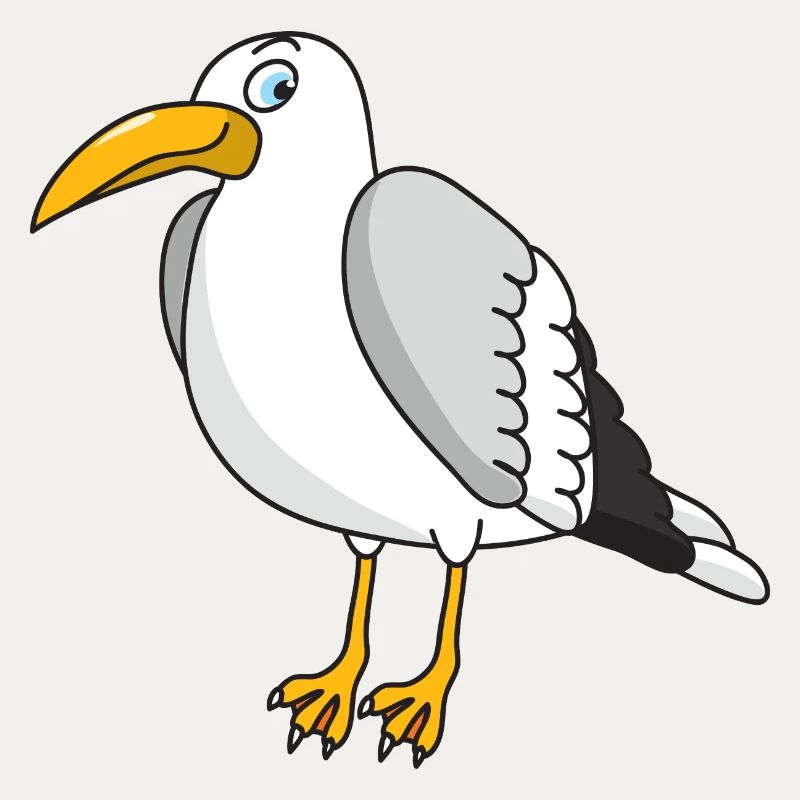 gabbiano