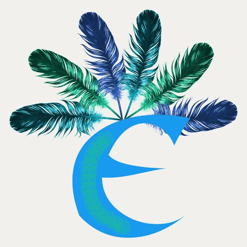 6 federn e