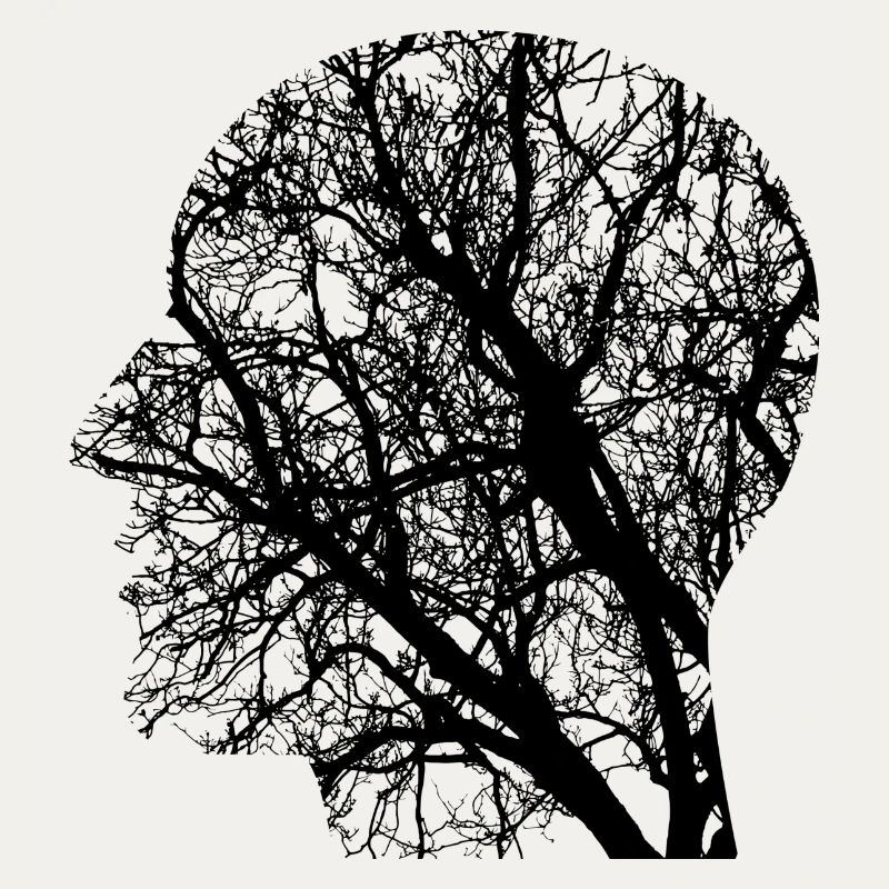 Networked - Mind Network