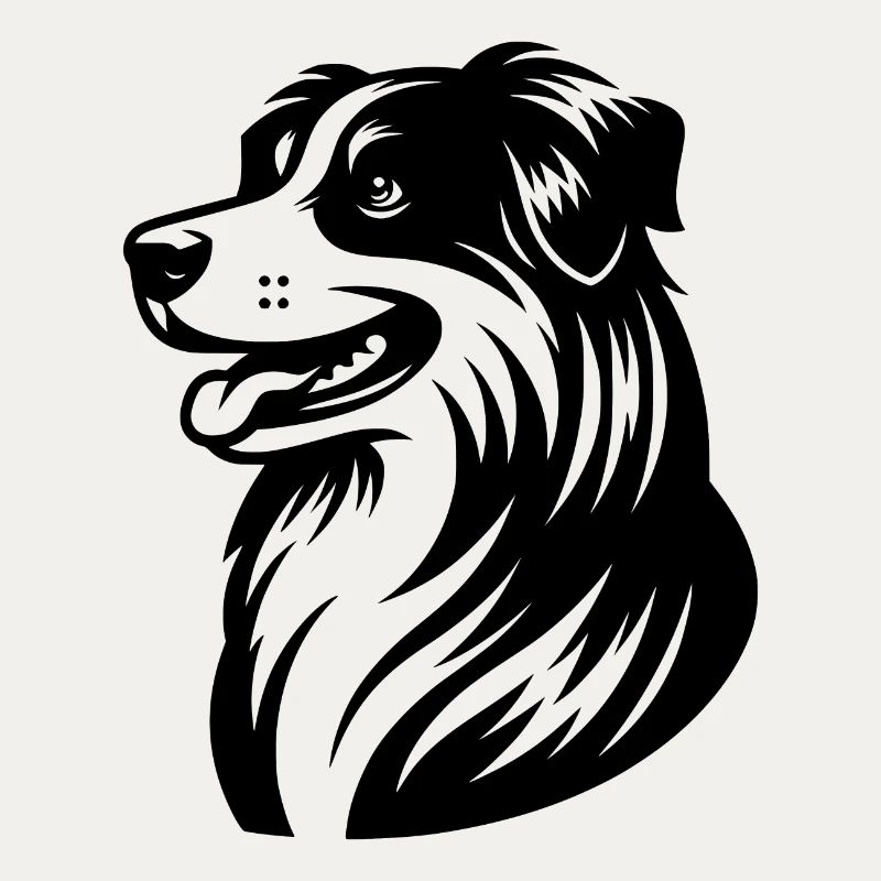 Knuffiger Australian Shepherd Hund Vierbeiner