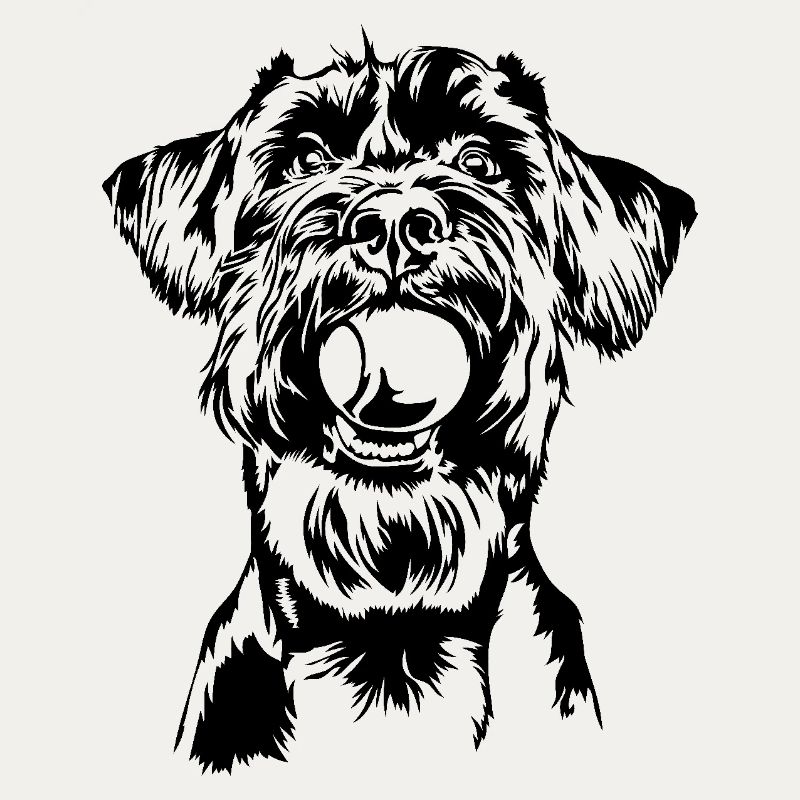 Schnauzer géant Schnauzer chien chien Wilsigns
