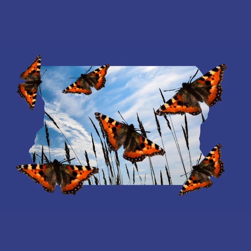 BUTTERFLY