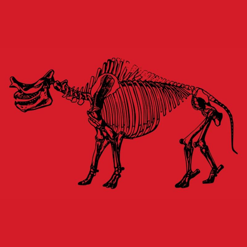 Dinosaurier Skelett