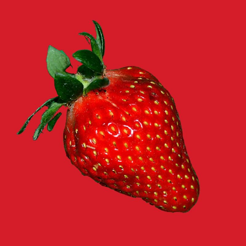 Erdbeere