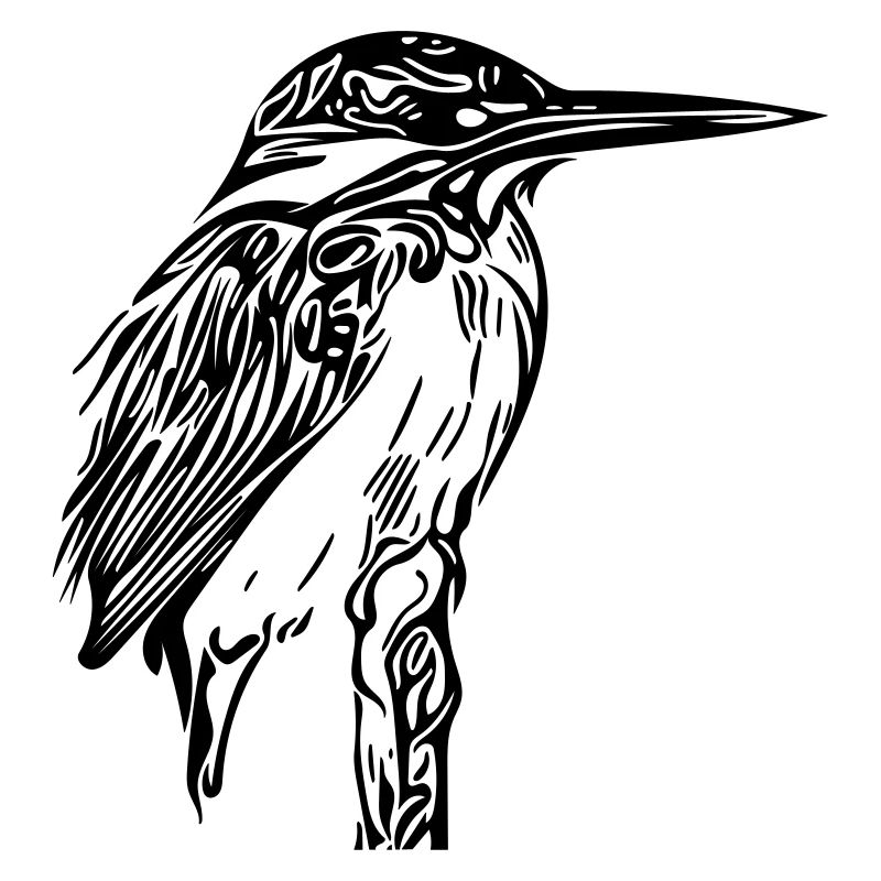 Eisvogel