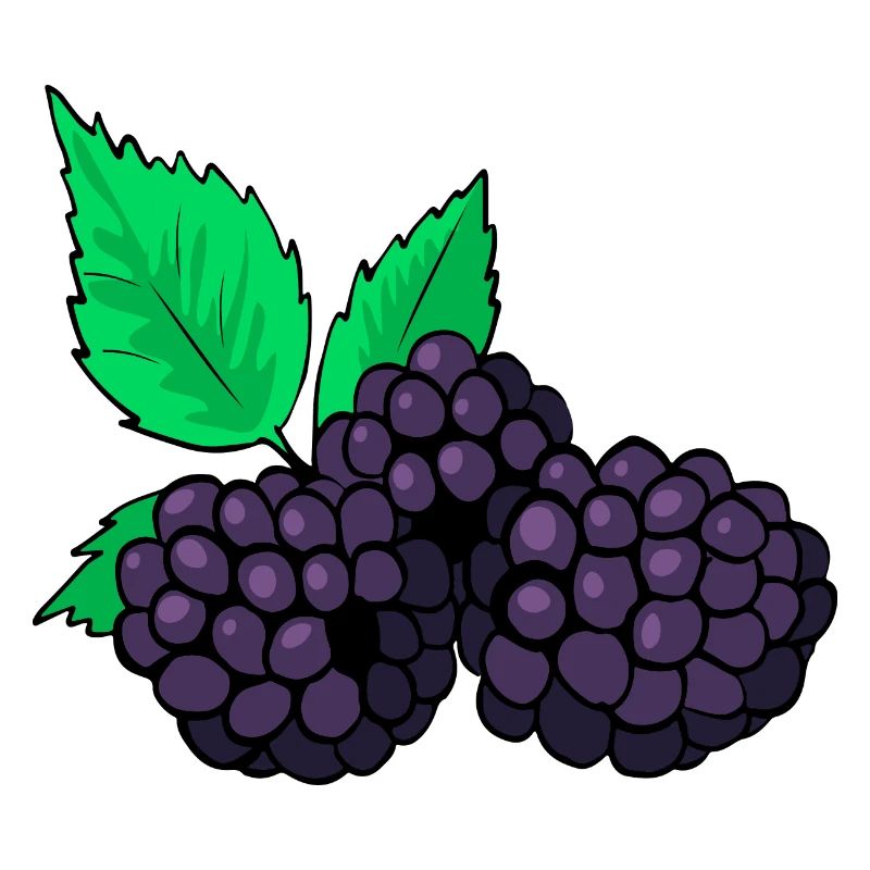 Brombeeren