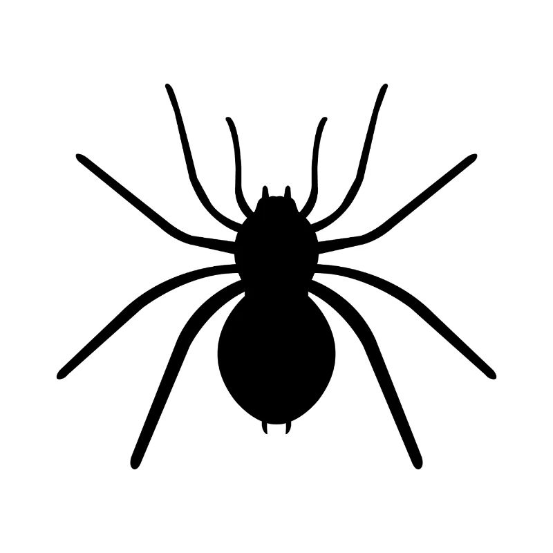 Spinne