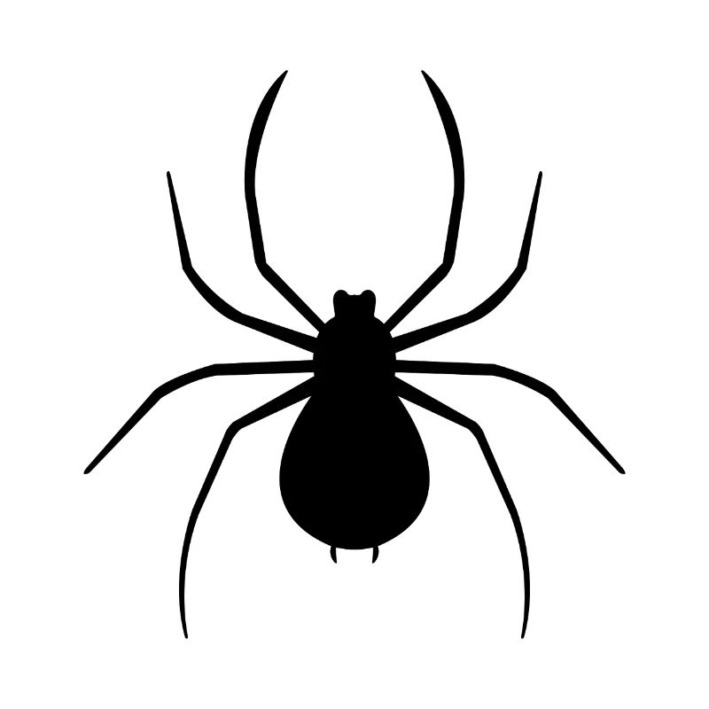 Spinne