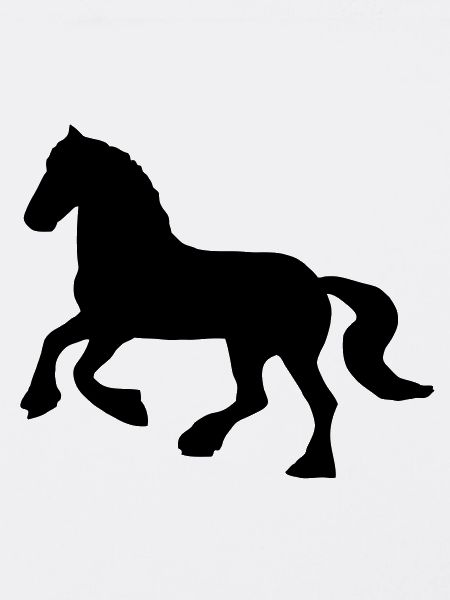 Friese / Kaltblut Pferd