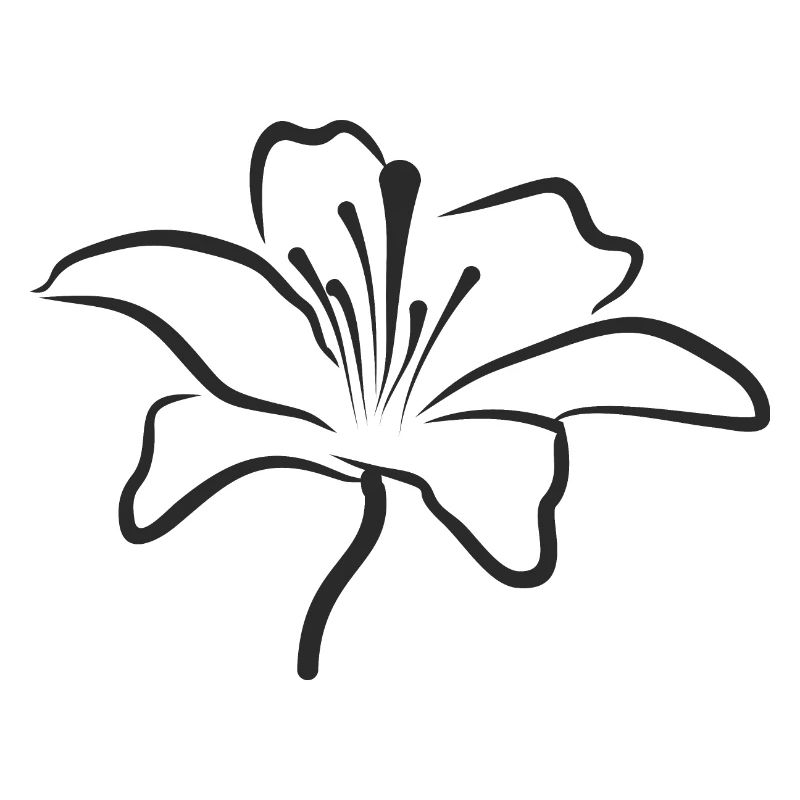Bloomyvitae - Blüte - schwarz