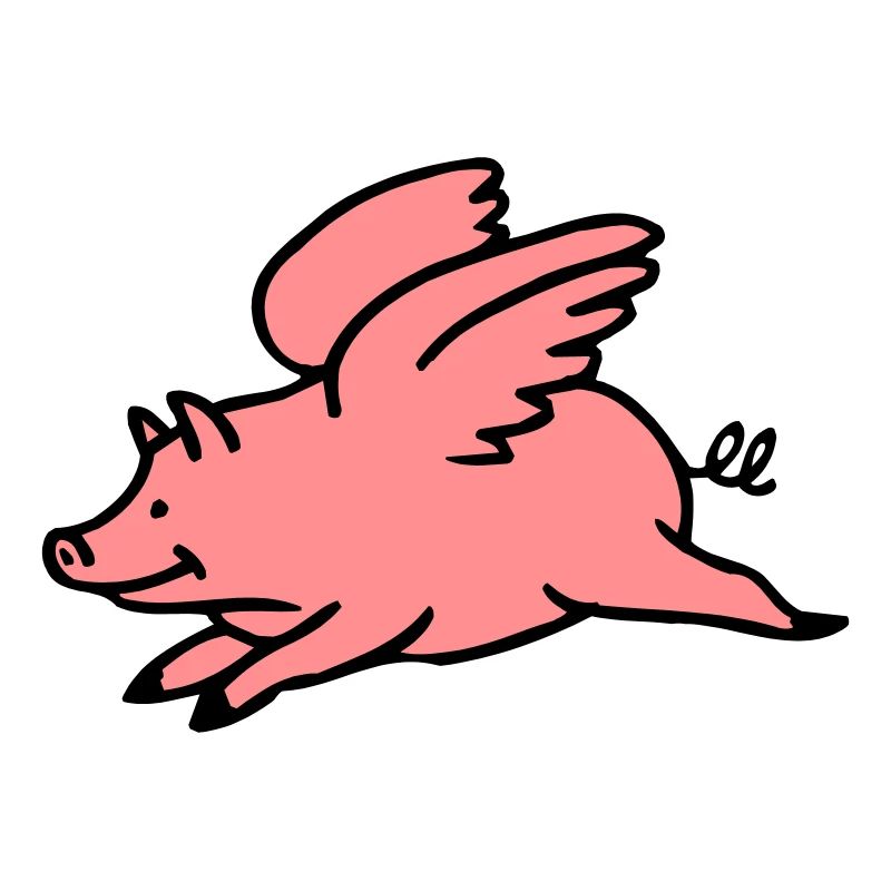 Flying Pig
