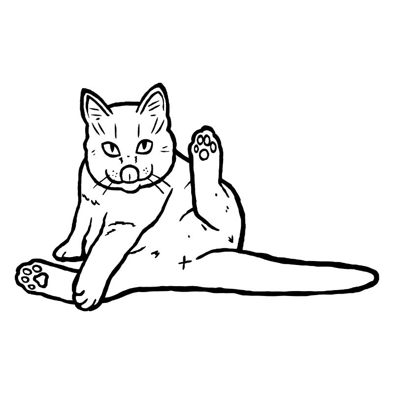 Flexible Katze: Lustiges Katzenpflege-Doodle