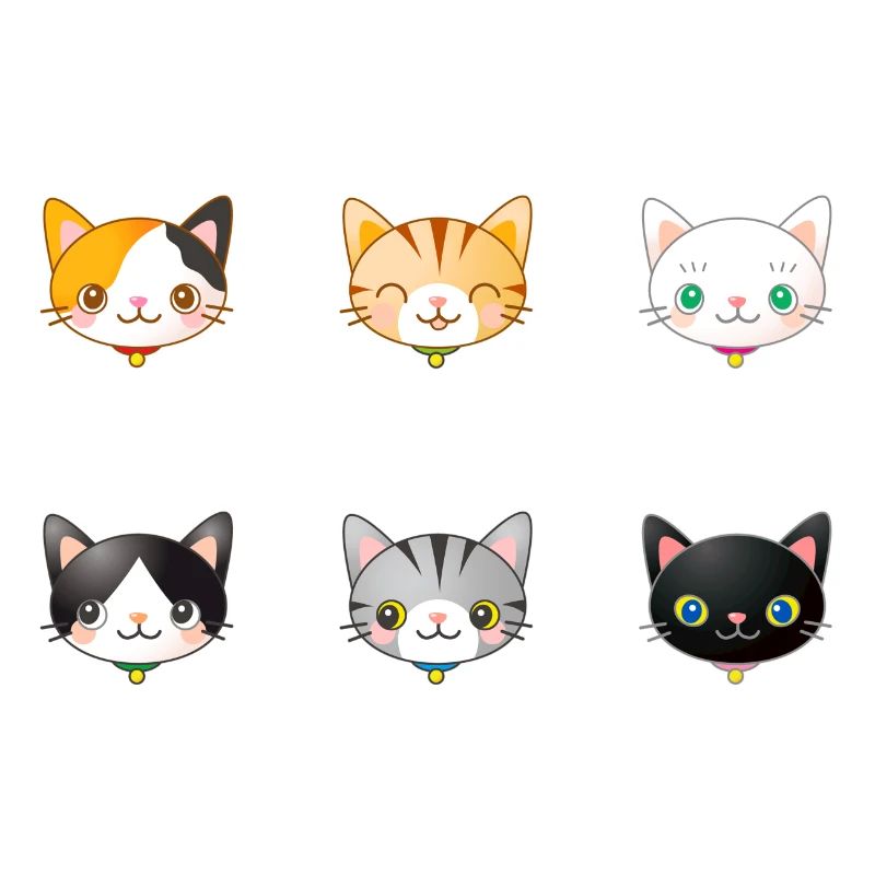 chats