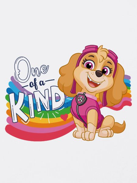 Paw Patrol Skye Regenbogen-Design