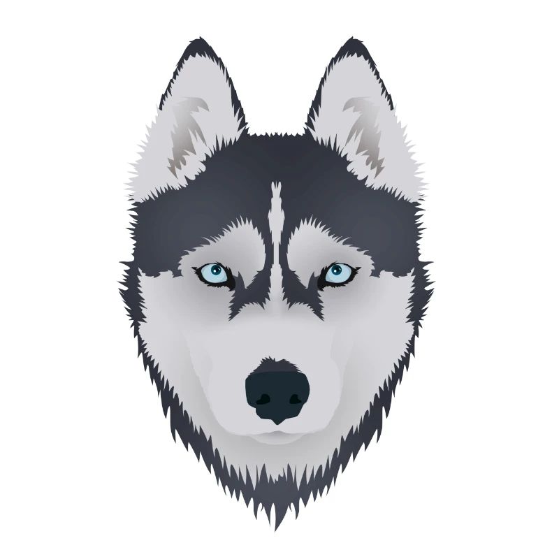 Husky 2