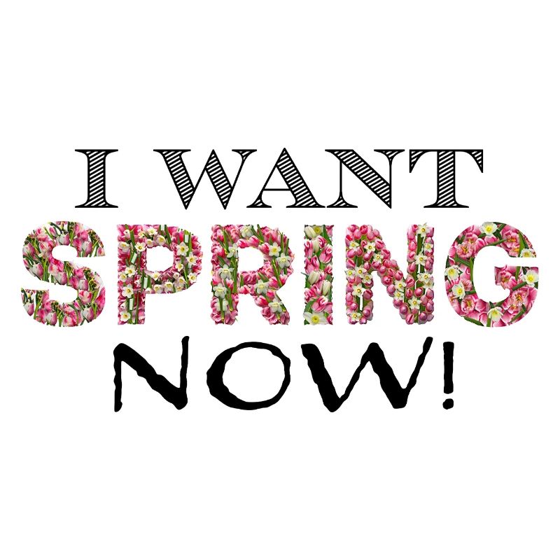 spring now sw