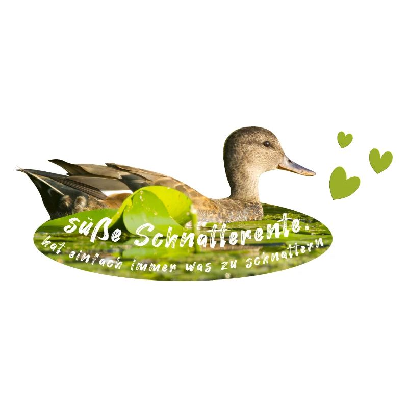 Schnatterente schnattern Quasselstrippe