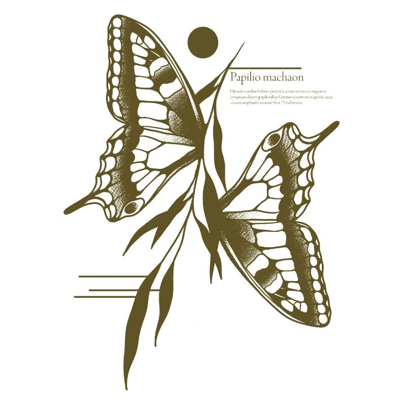 Papillon à queue d’aronde - Variante