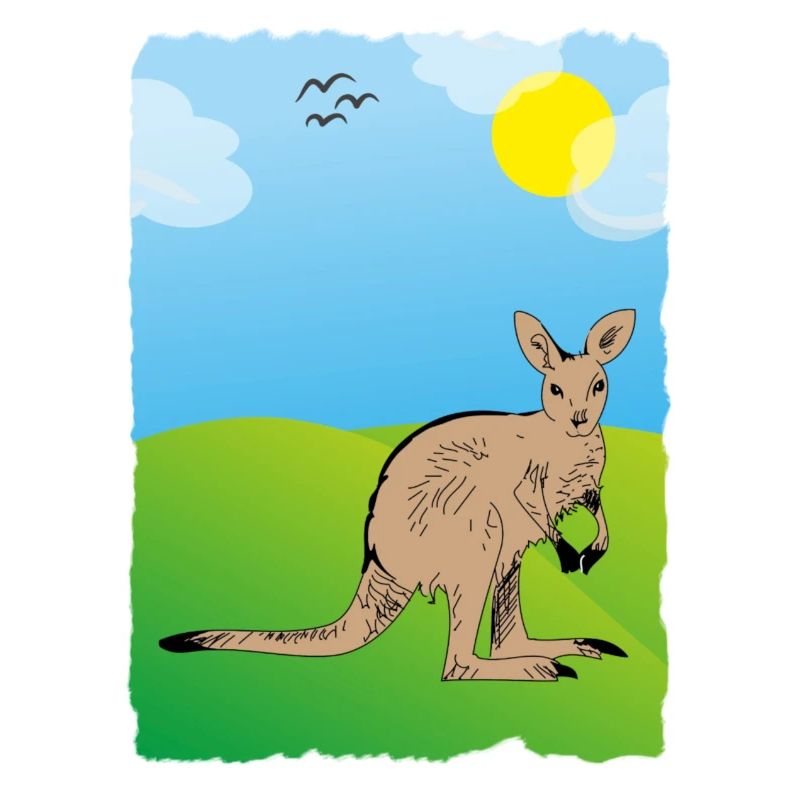 Känguru