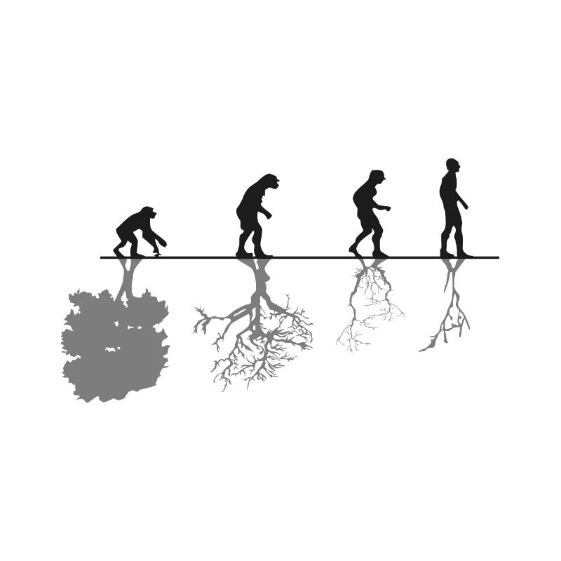 Evolution Black