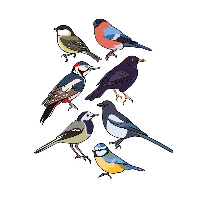 Gartenvögel Vögel