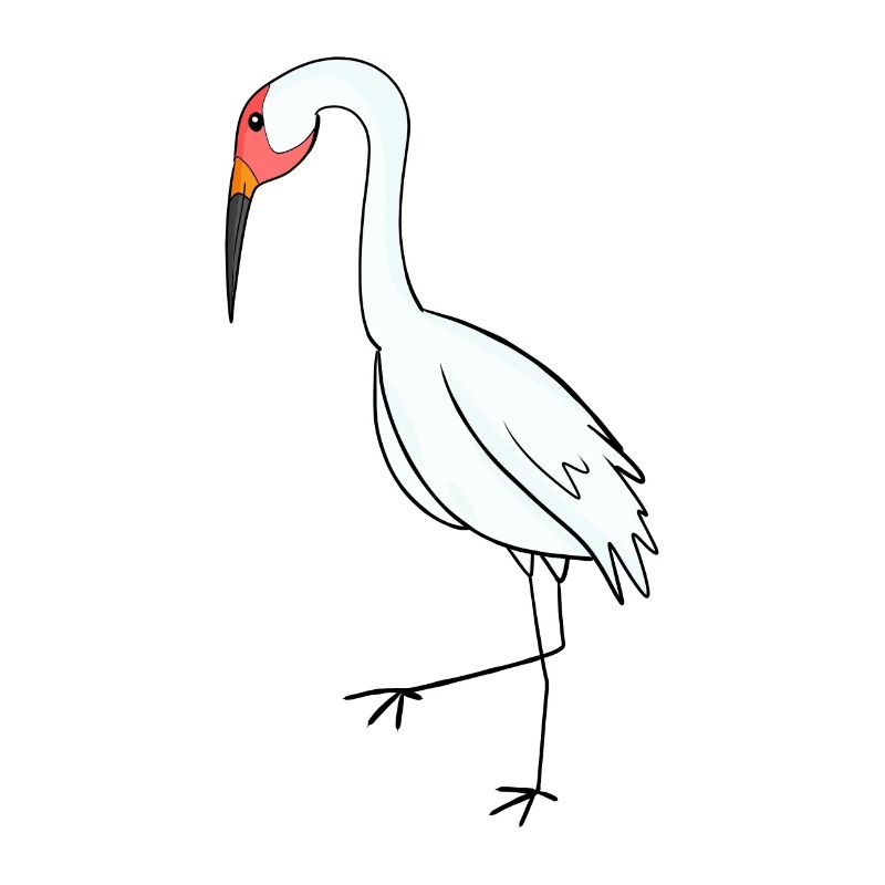 Oiseaux migrateurs Grue Oiseau