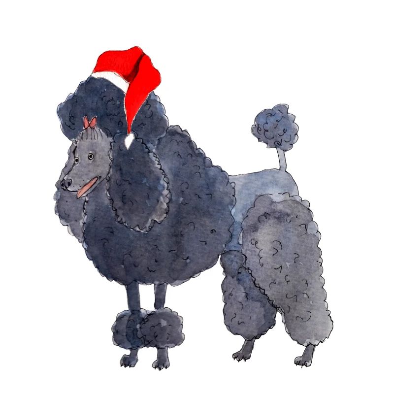 Caniche Noël