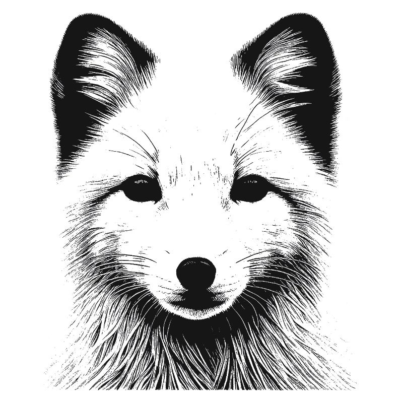 Polarfuchs