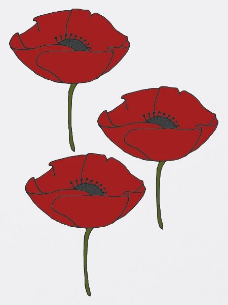 mohnblumen