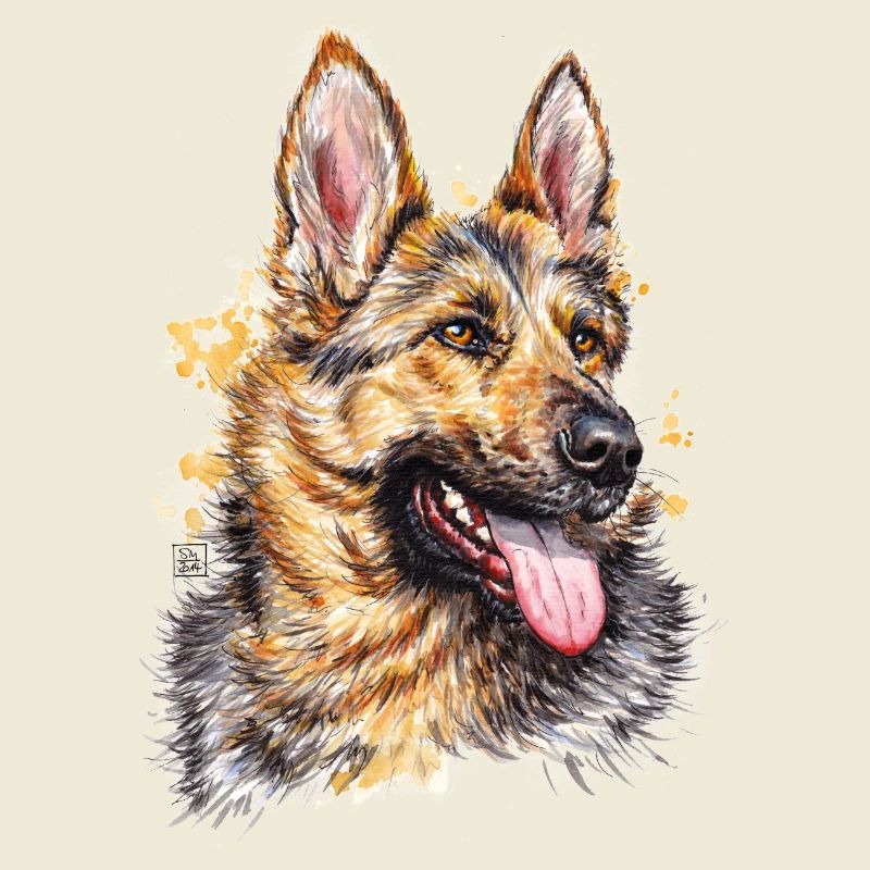 Schäferhund | german shepherd dog