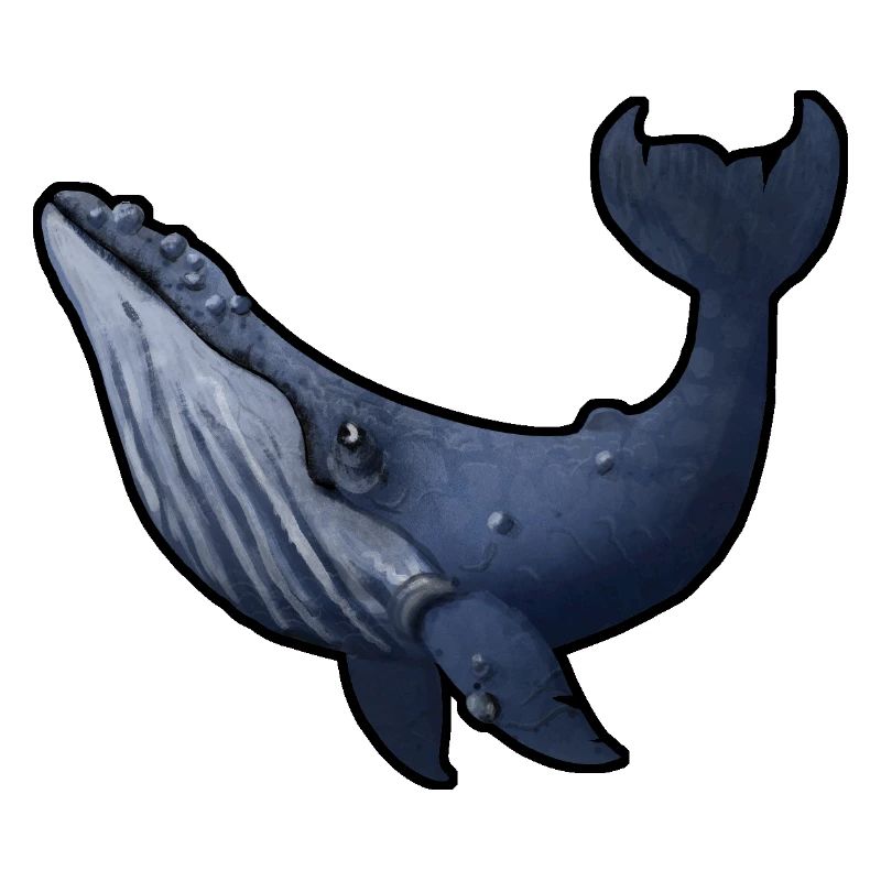 Buckelwal