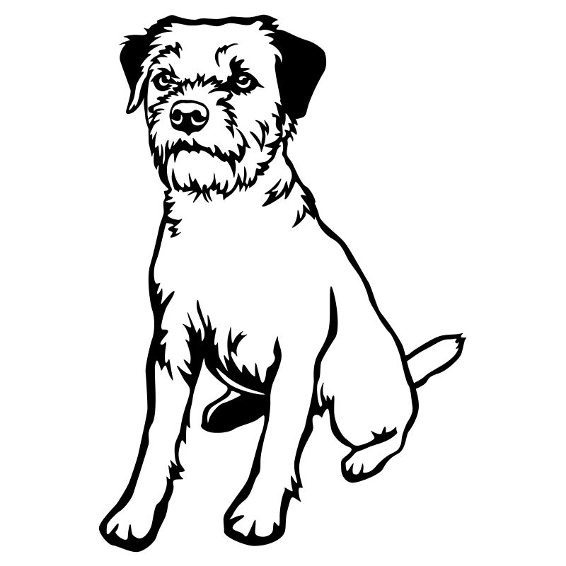 Border Terrier