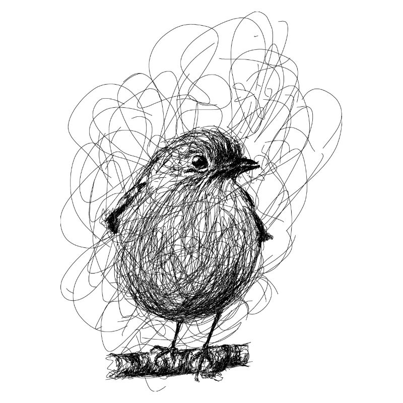 robin