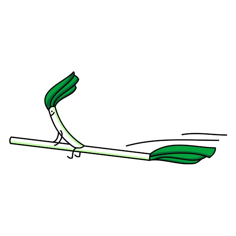 Lustiger Lauch mit Hexenbesen.