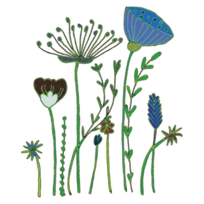 Fleurs séchées demi-tons