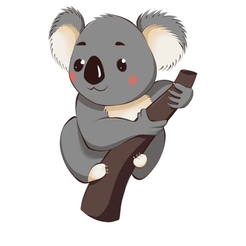 Koala