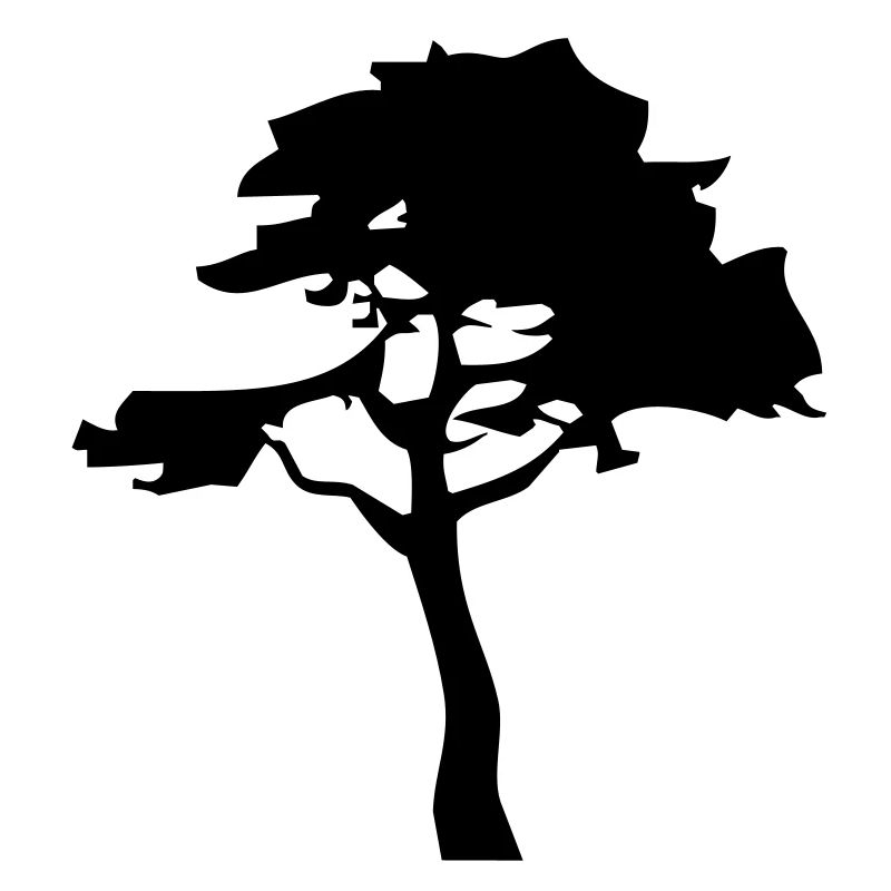 baum_2