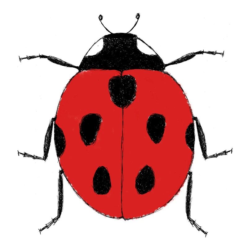 Marienkäfer