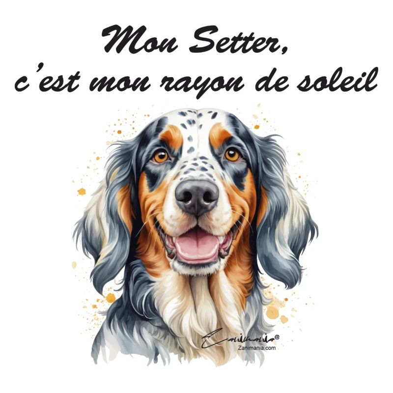 Setter rayon de soleil