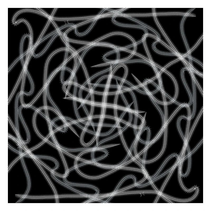 Schwarz-Weiß-Abstraktes Design