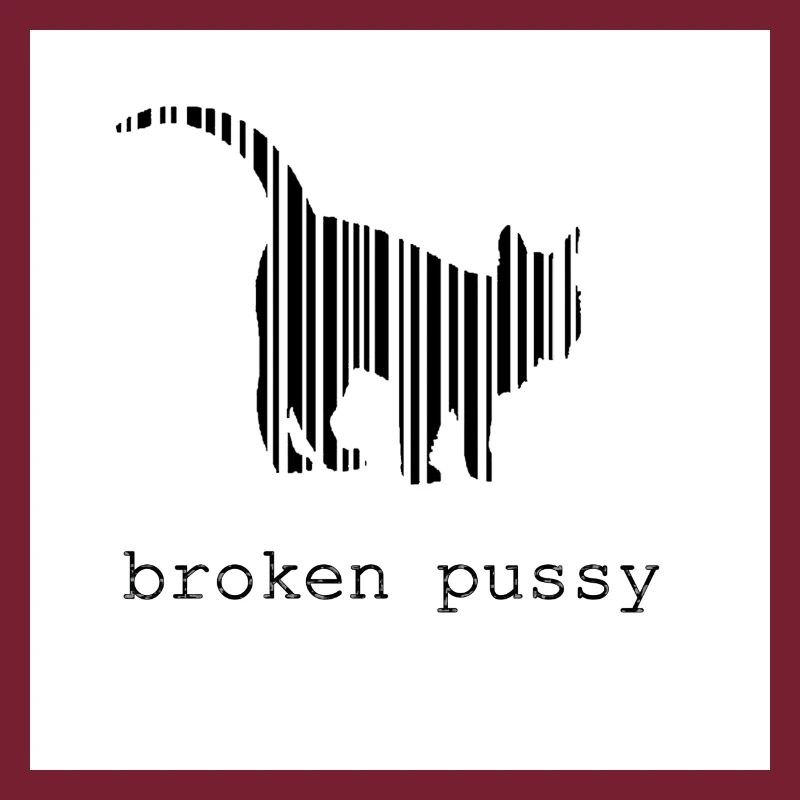 Broken Katze
