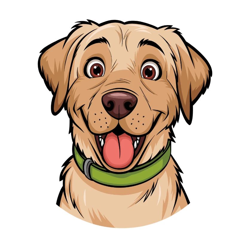 Labrador Portrait