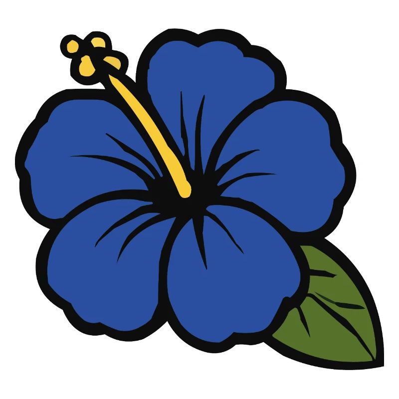 Fleur d’hibiscus