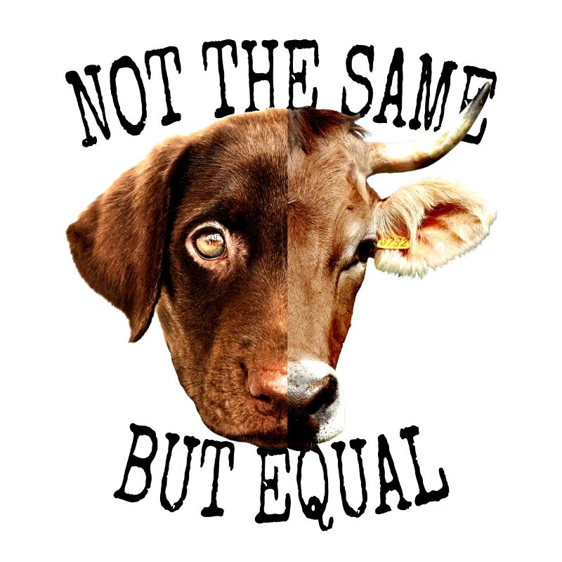 Vegan Not The Same But Equal Vegetarier Tierfreund